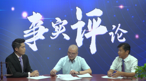 澳彩资料免费的资料大全wwe，全面释义、专家解答解释落实