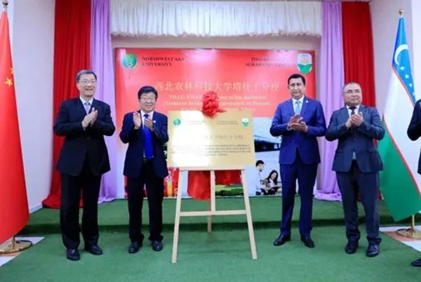 澳门必出一肖一特一中，全面释义、深度解答解释落实
